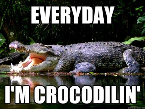 crocodile meme|funny crocodile memes.